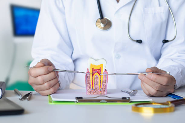 Best Weekend Emergency Dentist in Ottumwa, IA